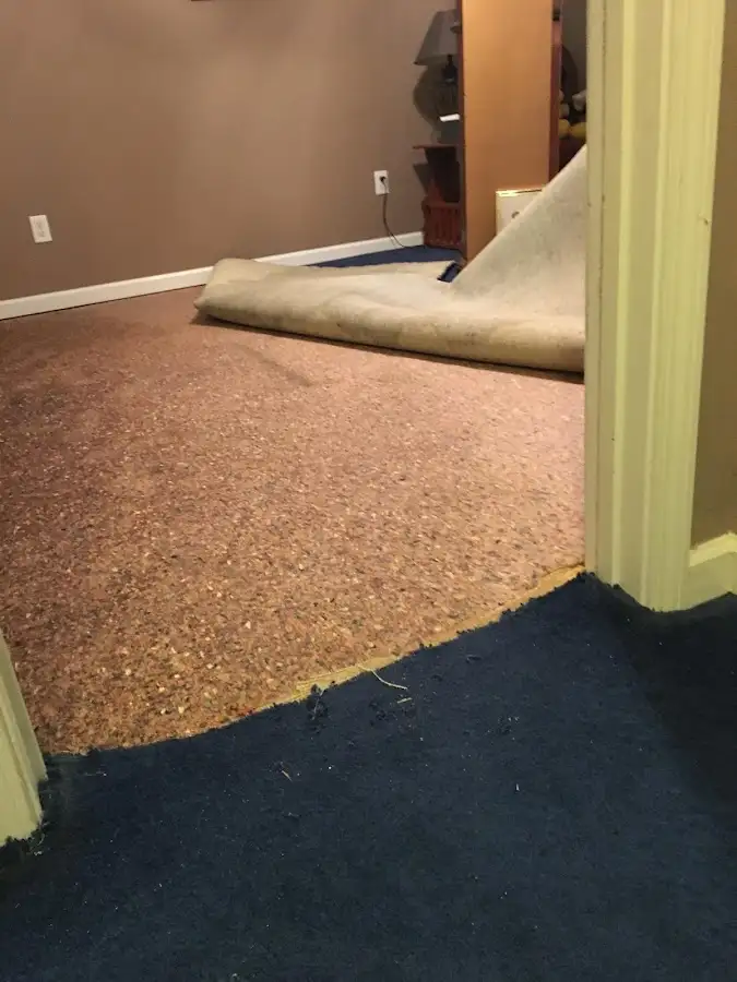 Carpet pad removal revealing water damage during Drying & Dehumidification in Alamosa