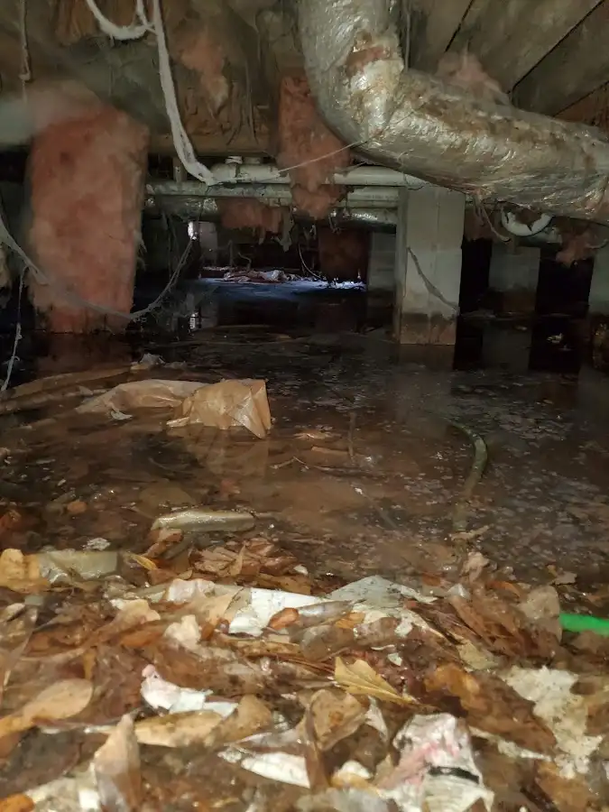 Crawl space flood assessment for Leak Detection & Repair in Alamosa